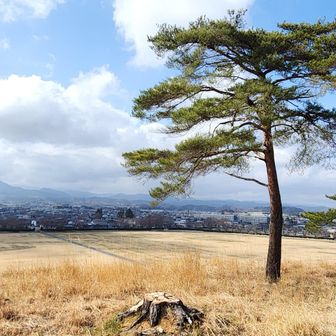 相馬野馬追いの祭場地