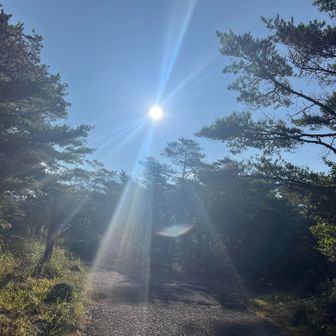 まだ8時だぜー！
