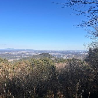 今日は穏やかで良い天気でした☀️