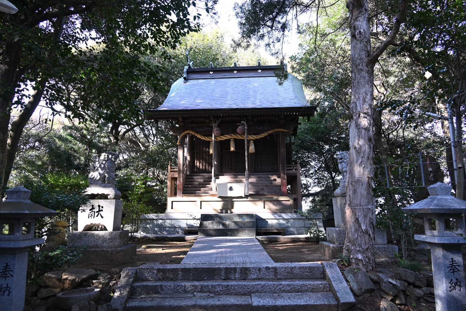 御所山いただきましたー
⛰⛰⛰⛰⛰⛰⛰⛰⛰⛰⛰⛰

ちなみにここも「御所山古墳」という古墳です🧐
古墳時代中期に造られた前方後円墳です。明治時代に石室内部が調査され、中国大陸や朝鮮半島との交流を読み取ることができる馬具などが出土しています。