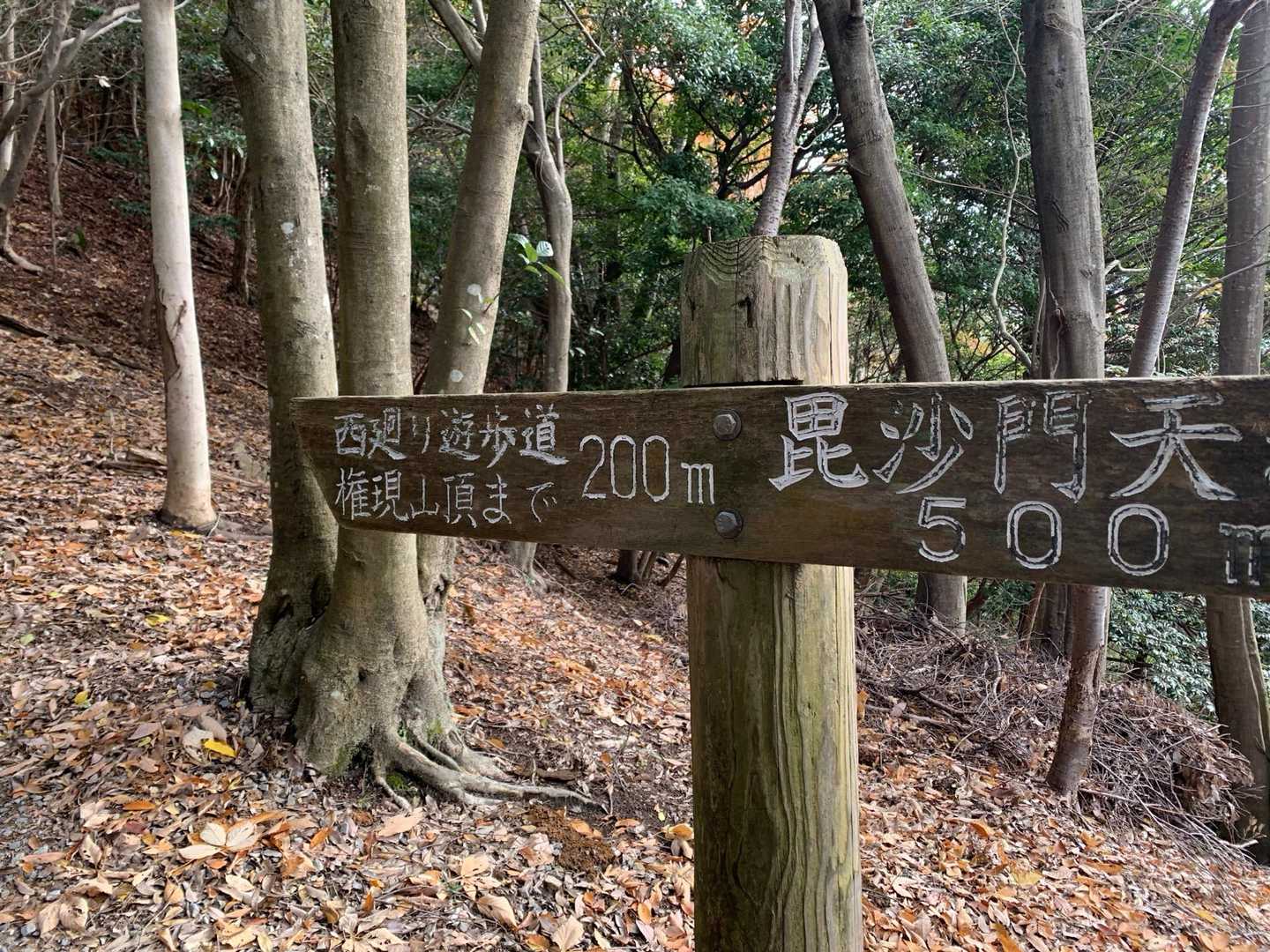 権現山 周回コースの写真