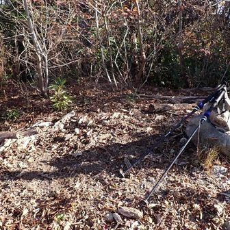のんびりコーヒータイムを過ごしたので降ろう。
降りはいつのもようにストックを使う。
尾竹山へのルートは降りだと迷いそうなので諦めた。