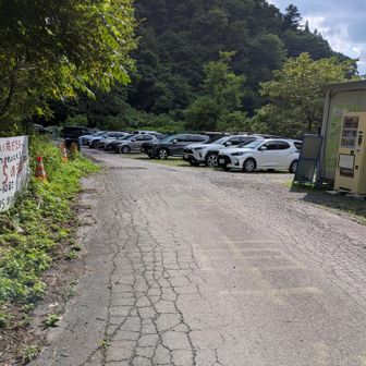 日曜日の午後3時。駐車場の空きは50％くらいでした。