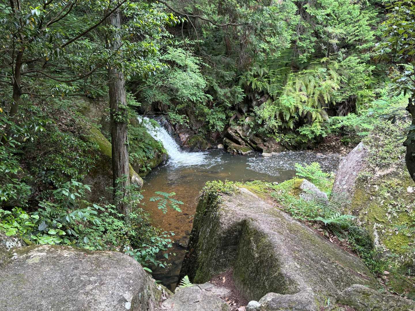 水晶山登山口-水晶山 往復コースの写真