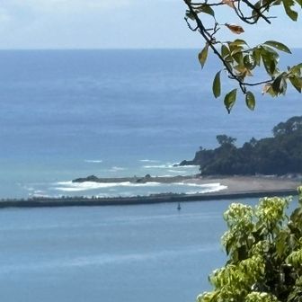 桂浜