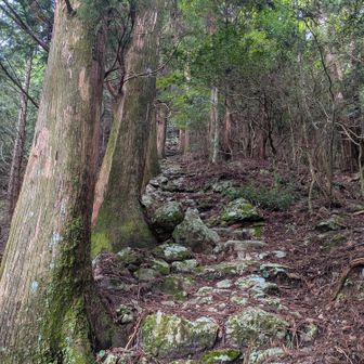 なるほど、先行者がいたらその尻しか見えんわけだな。