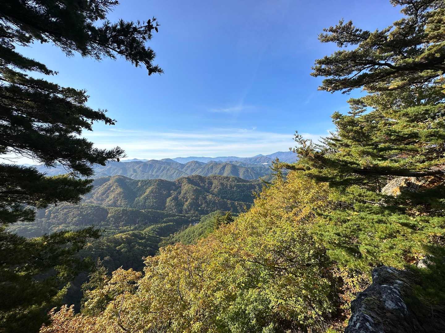 唐倉山 周回コースの写真