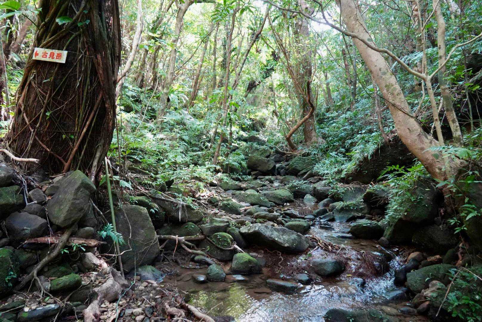 古見岳 往復コースの写真