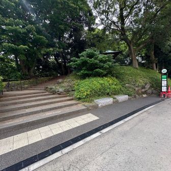 すぐ脇にある紅葉山へ立ち寄ります⤴︎