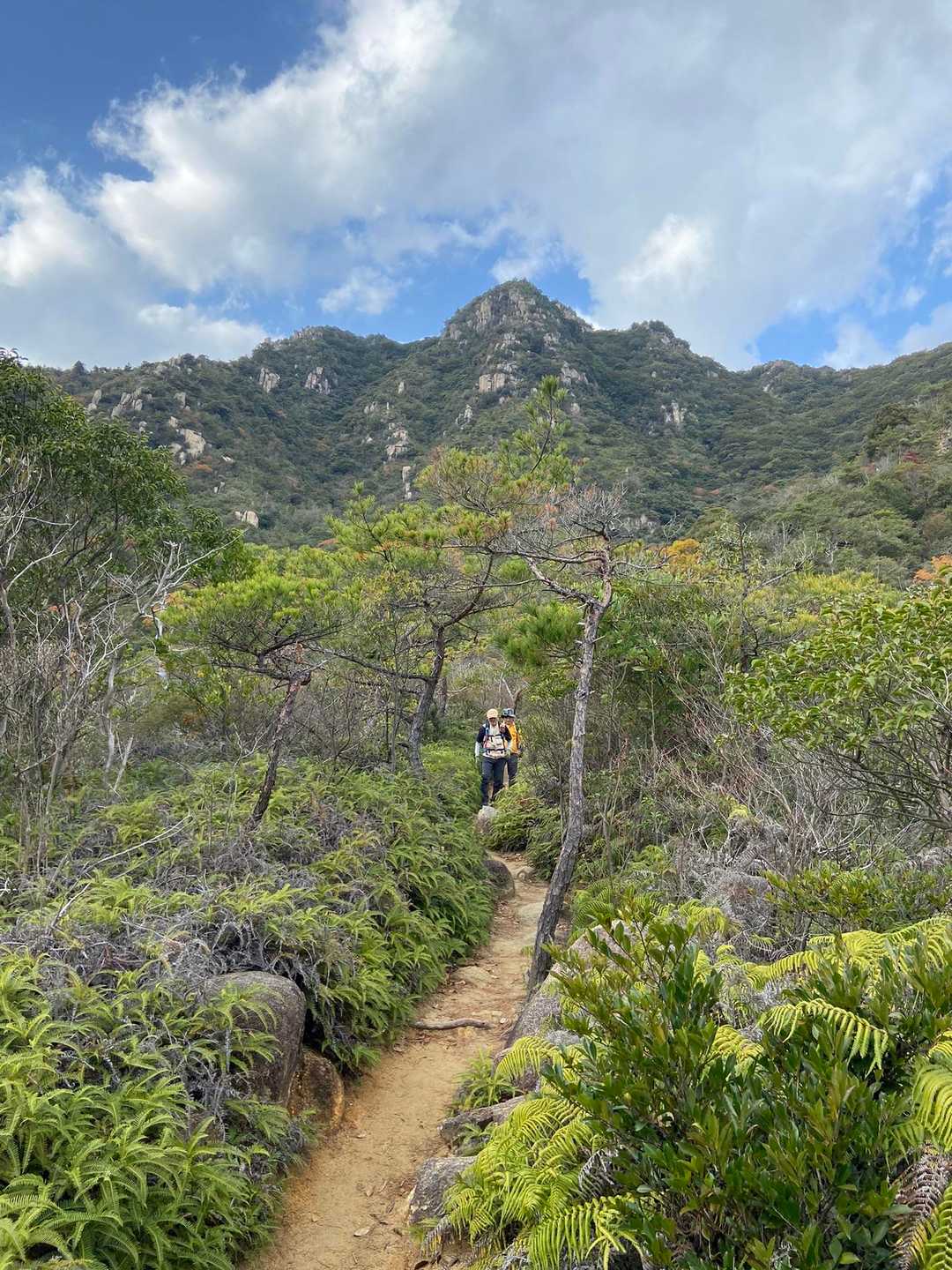 下山しながら山を振り返る