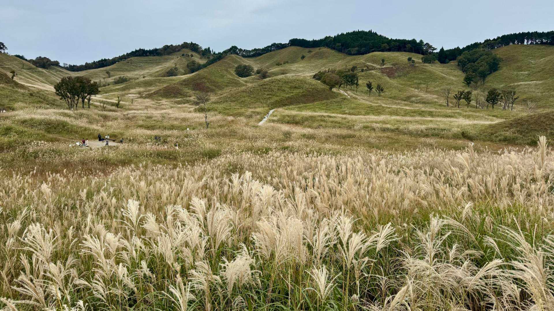 砥峰高原ハイキングコース入口-砥峰登山口-砥峰 周回コースの写真