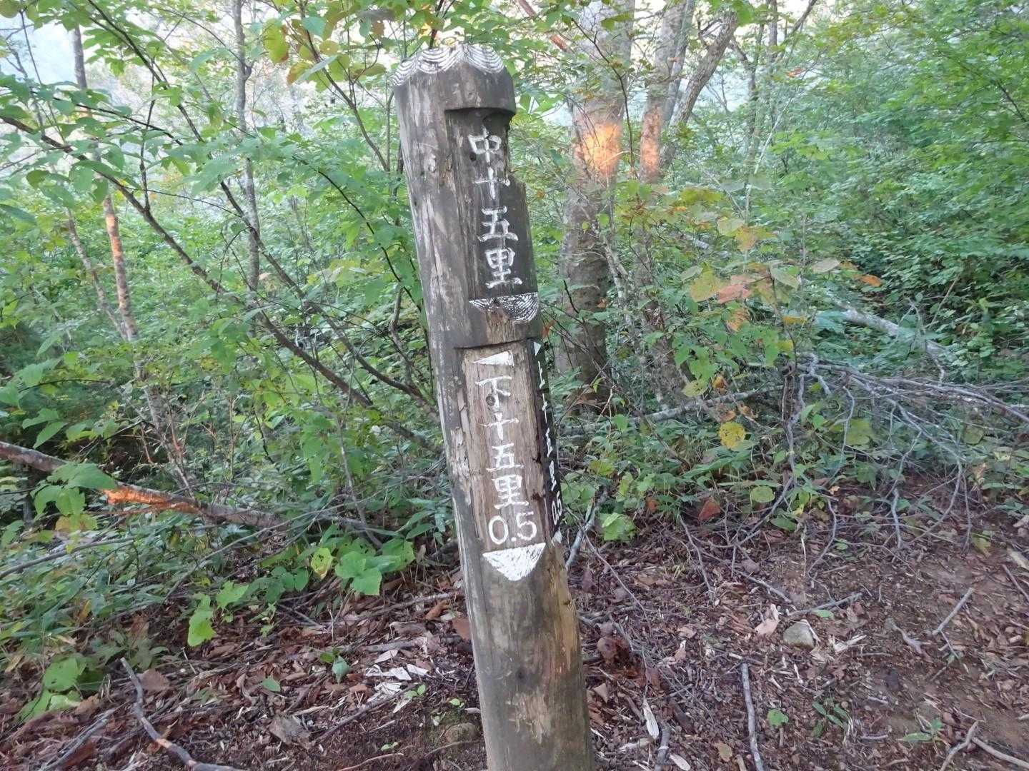中十五里です、頑張ってます。