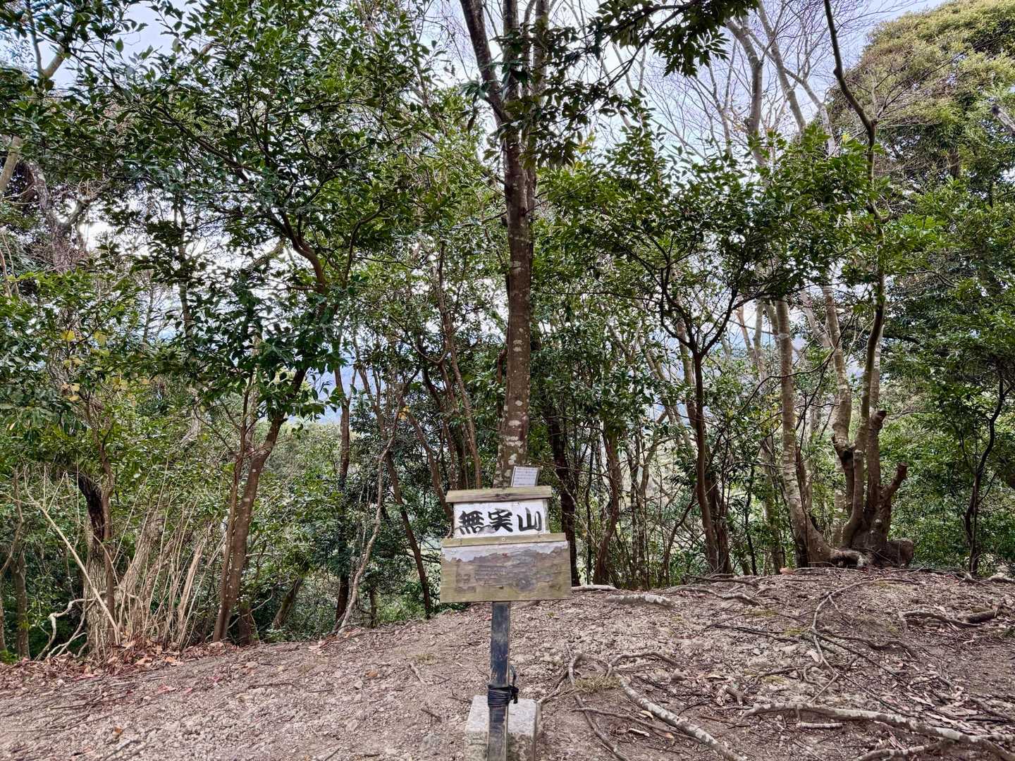 はい❗️標高266m「無実山」登頂‼️