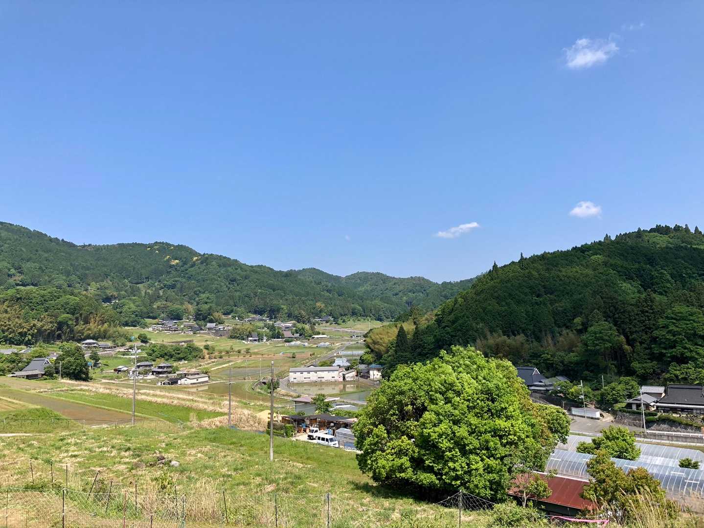今日は、棚田→滝王山→三草山の順に反時計回り↪️で歩きま〜す🚶‍♀️