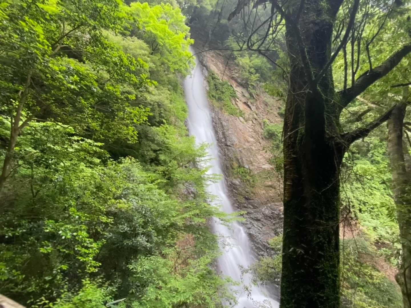 宇嶺の滝
展望台から先は崩れてしまって行けませんが、展望台からも迫力満点です💯