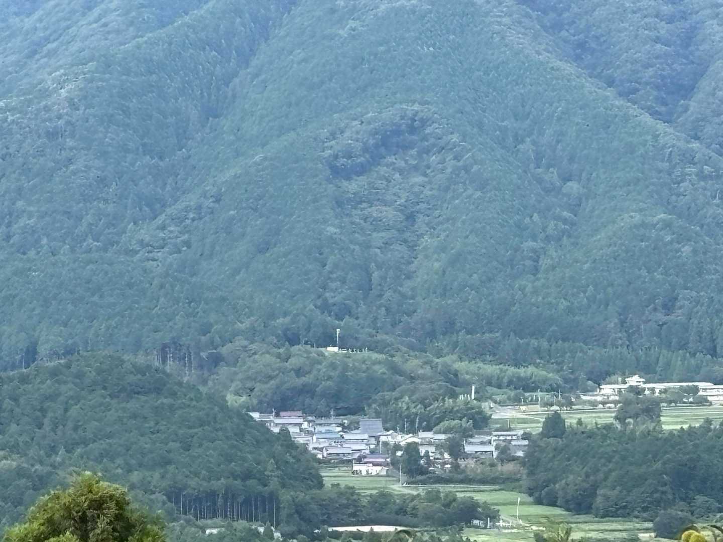 さっきいた、石田三成陣跡が見えます