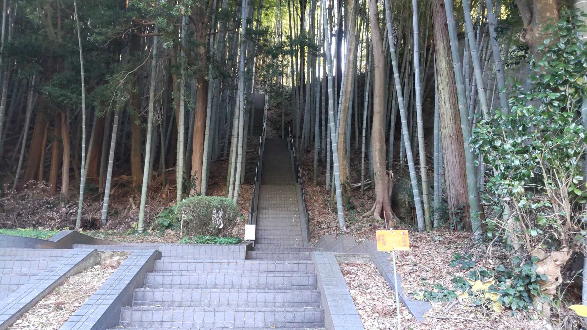 ここからスタートです🥾