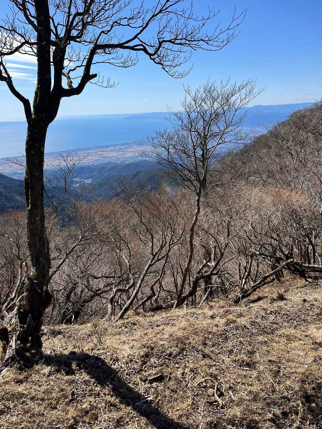愛鷹山登山口-愛鷹山-馬場平-袴腰岳-一服峠 周回コースの写真