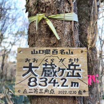 大蔵ヶ岳 834m
このプレートにイイネ👍をあげたい