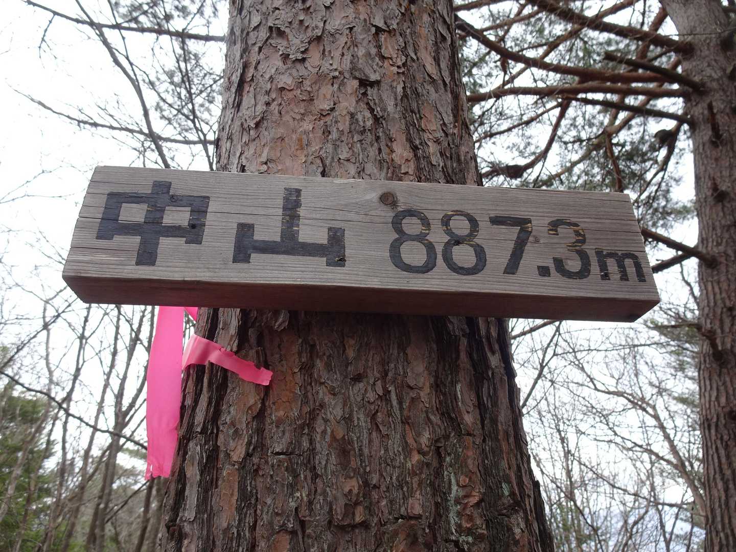 中山(887.3ｍ)です