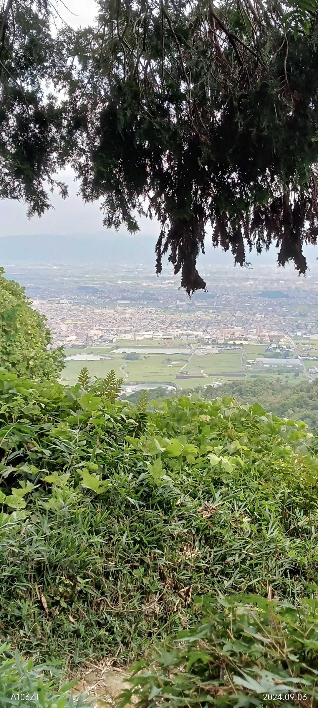 鳶塚-二上山-ながめ坂 周回コースの写真