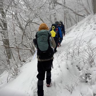 コロポックル🌿