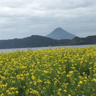 マロリーちゃん