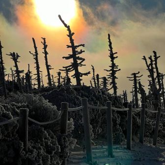 燃え盛るトーチ。