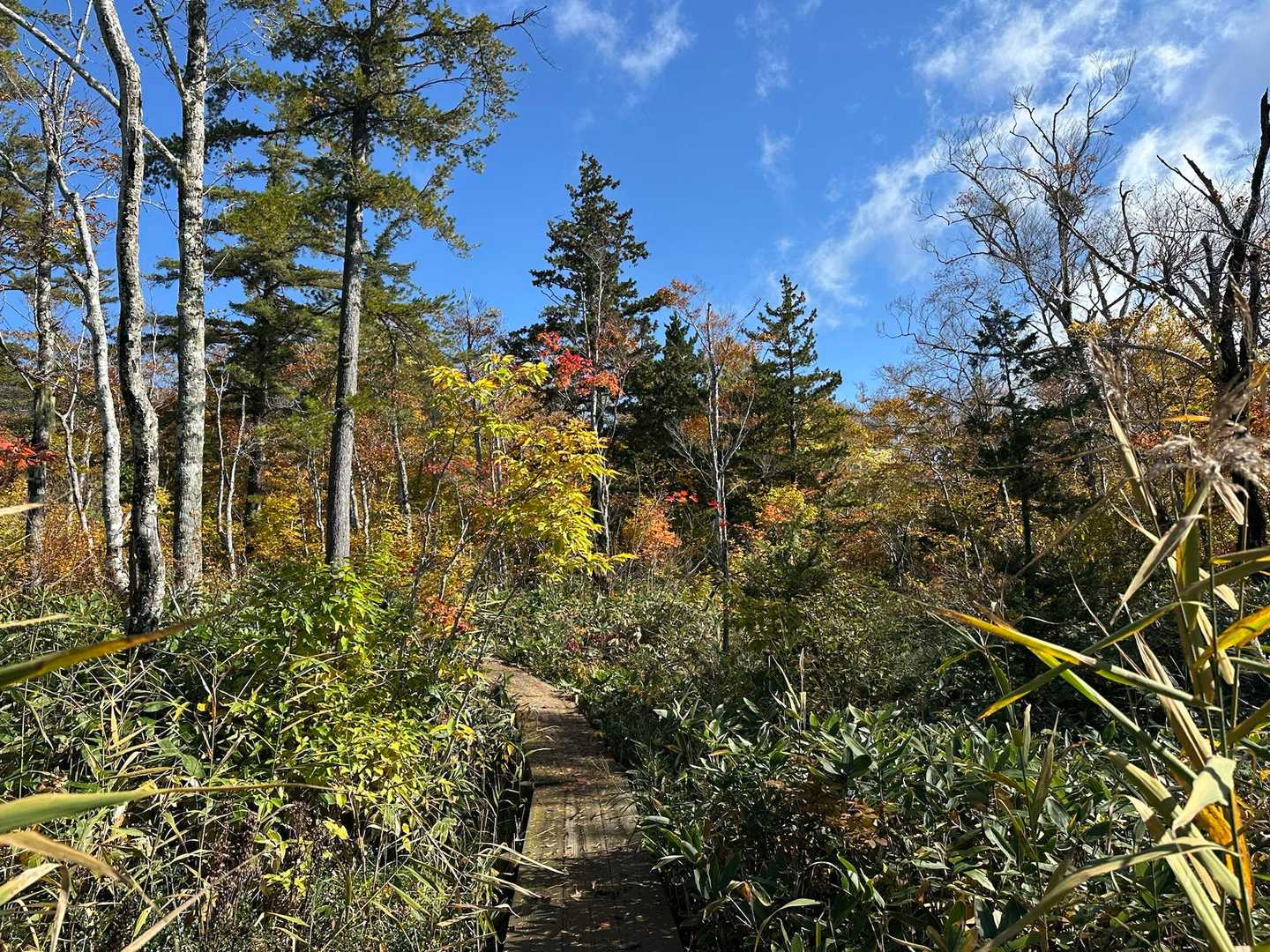 ロープウェイ終点-西吾妻山 周回コースの写真