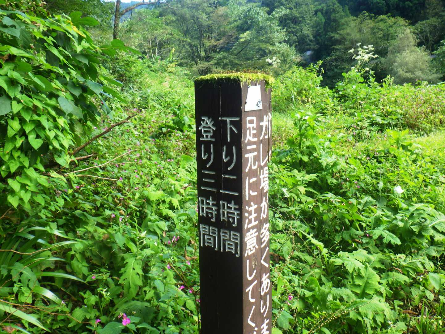 ゴール、時間通りでした