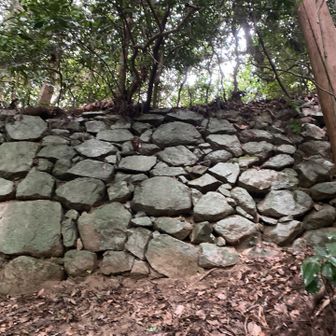 立派な石垣。
立花山城の史跡ですか。
