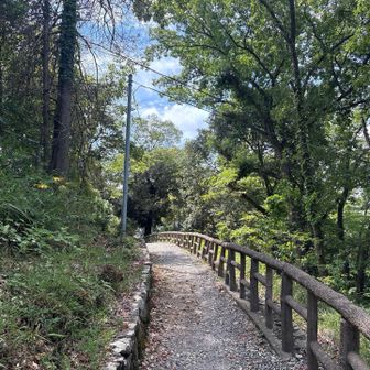 進んでいきます🚶🏻