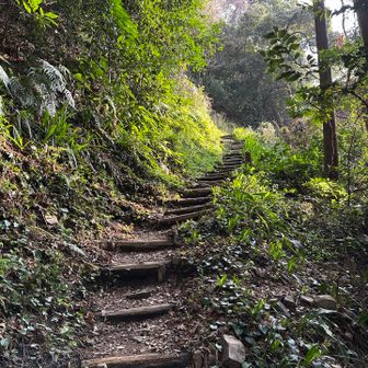 とにかく日差しが眩しいです、山道１カ月ぶり💦