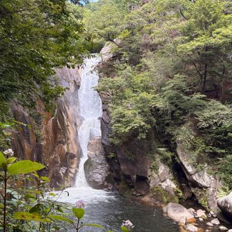 見応えのある滝でした