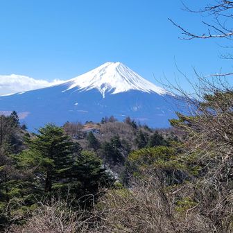 富士はいつ観ても美しい