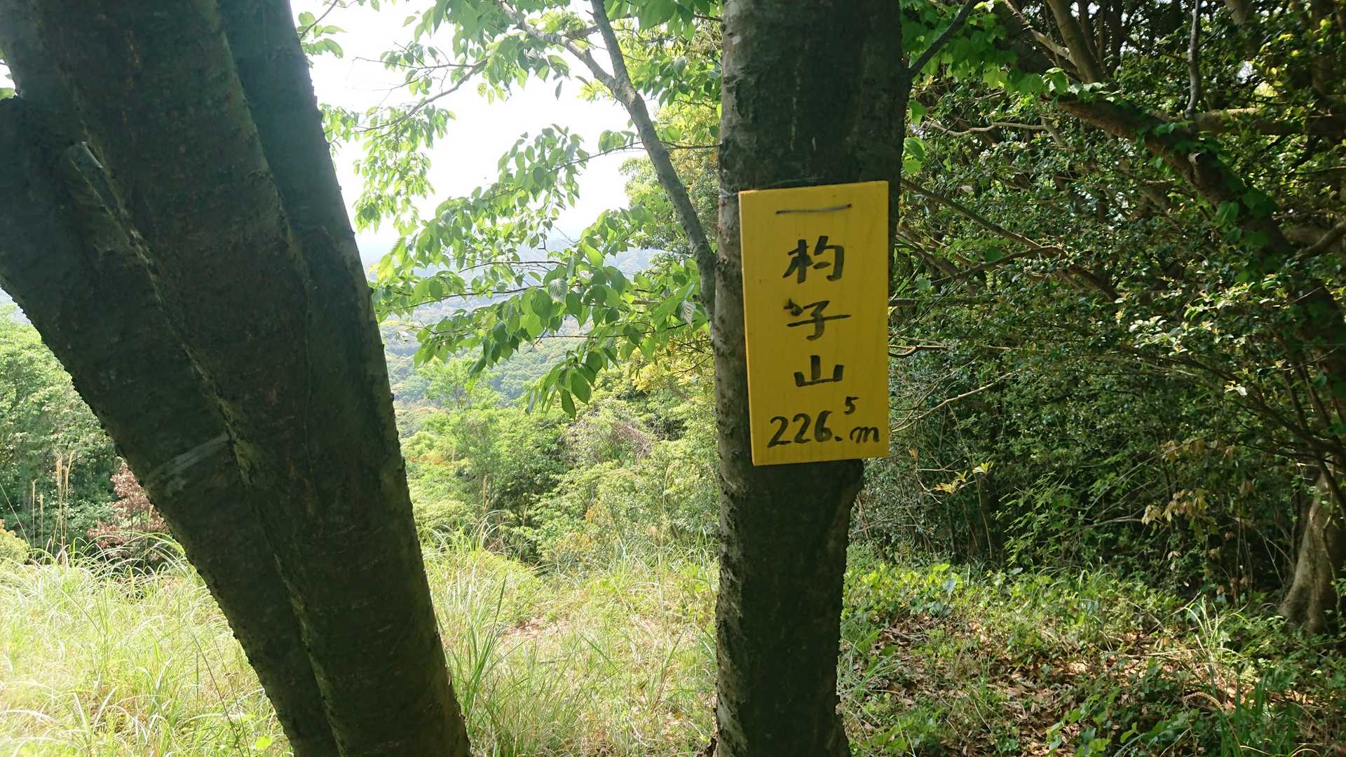 杓子山頂上