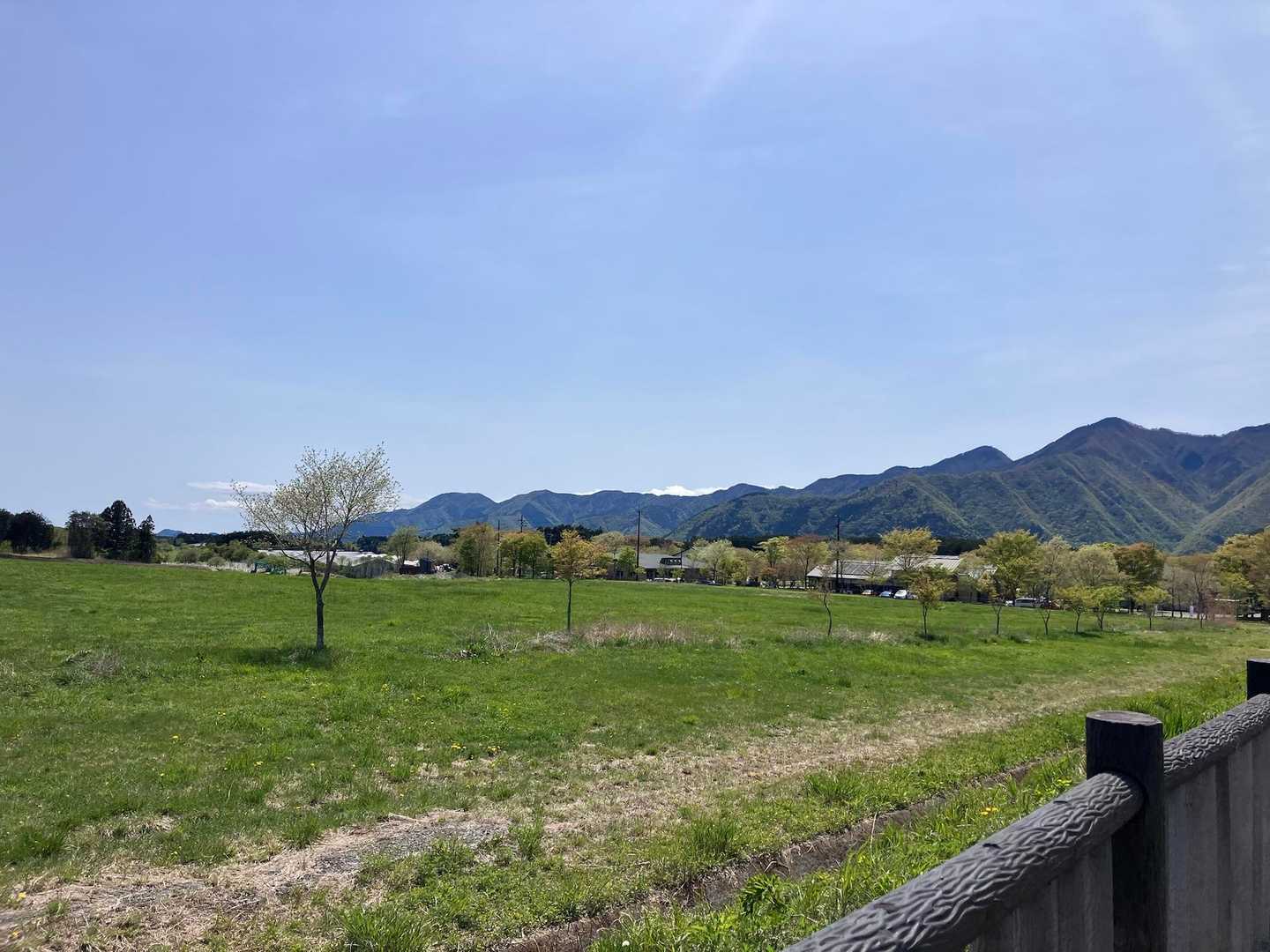 天子ヶ岳から