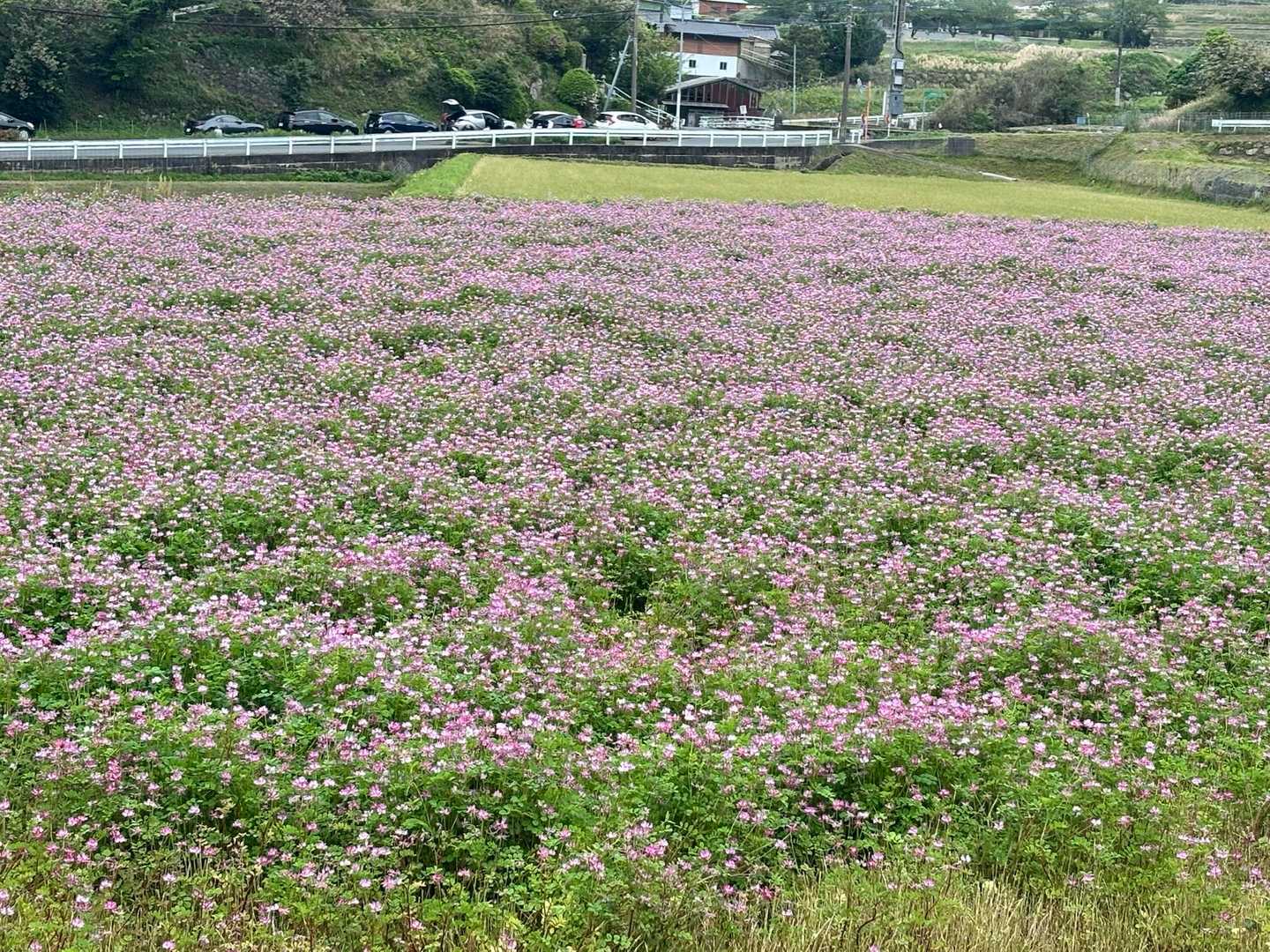 子どもの頃の景色