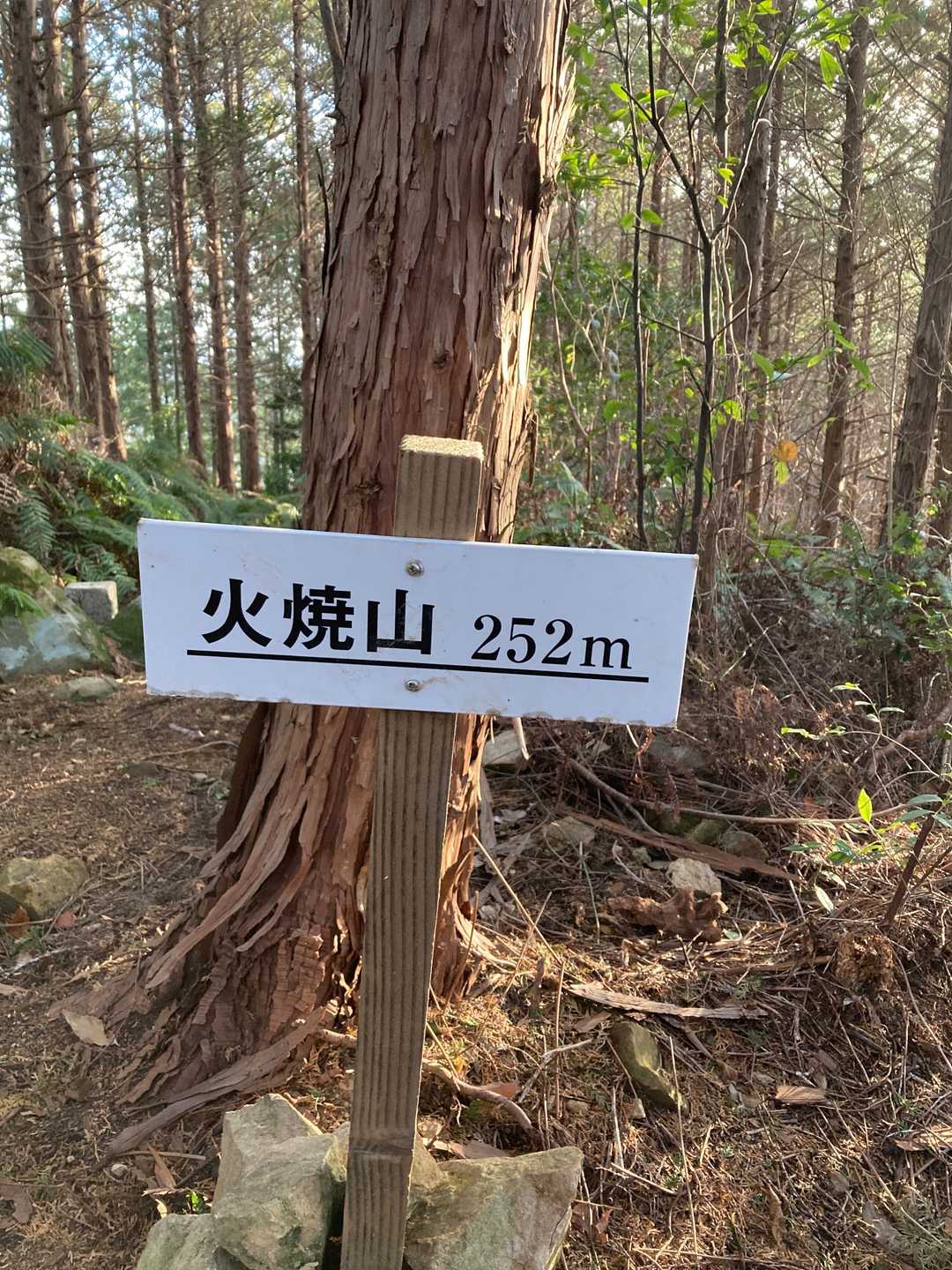 火焼山に到着😀眺望なしです