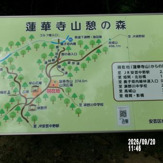 蓮華寺山