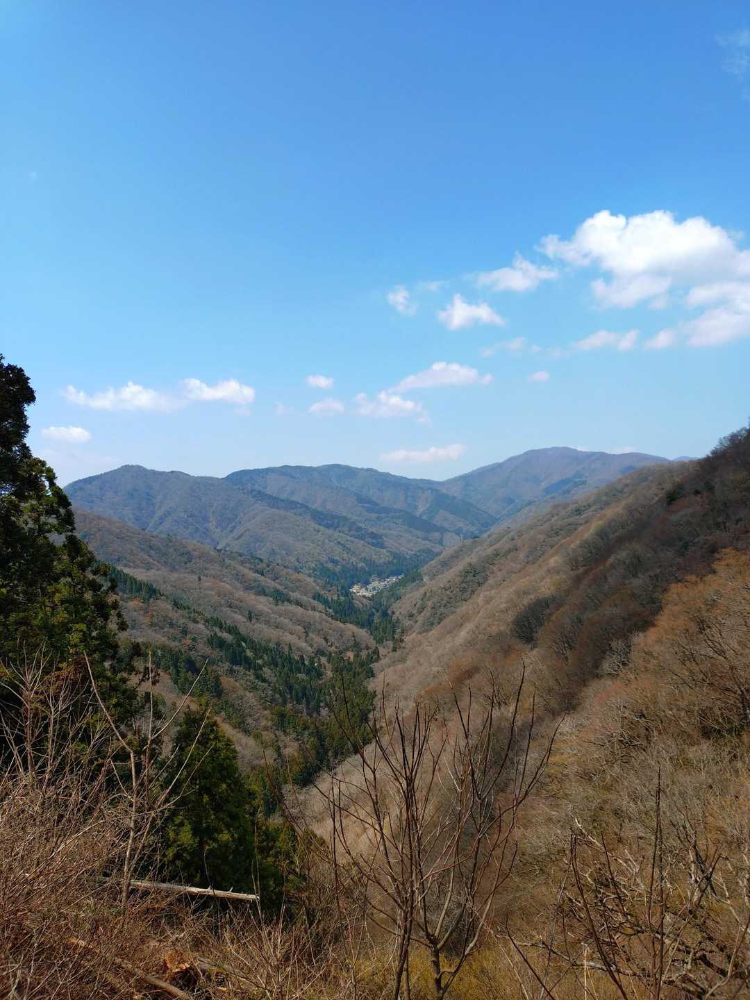 めっちゃイイ感じです✨️