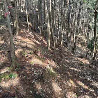 下の方へ進みます