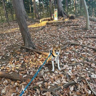 動きたくない！！と。