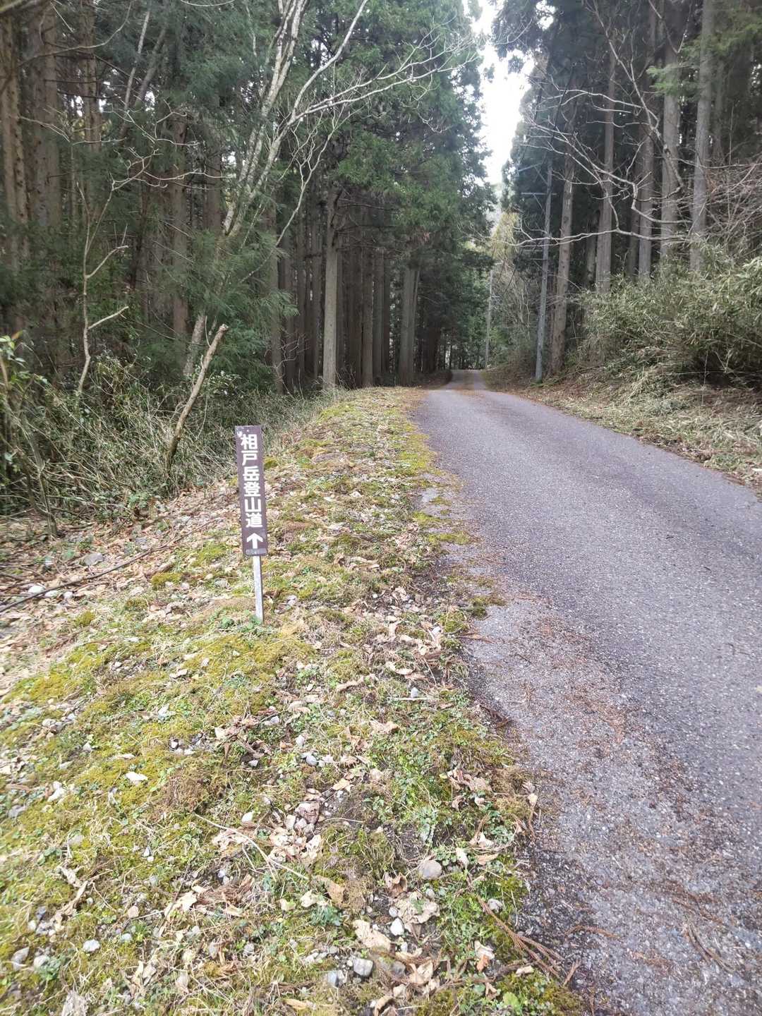 しばらく  舗道を歩いて
