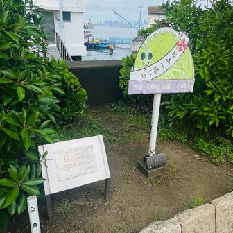 標高はなんと！
4.530m過去1番😁