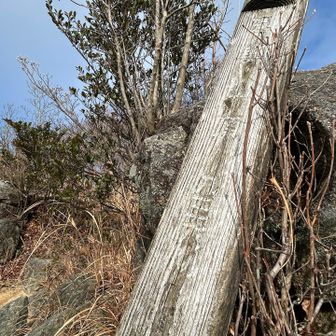 三郡山山頂標識は2年ぐらい前から外れたまんまです