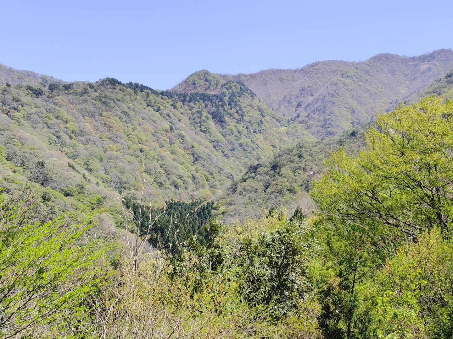 新緑の季節。さぁこれからぐるっと心地よい周回山歩だ。