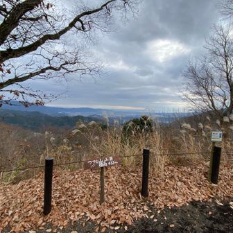 つつじ山（標高432） 山頂

相模湾方面

