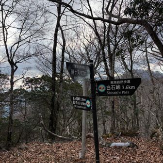 モロクボノ頭⛰️
控えめね💦
