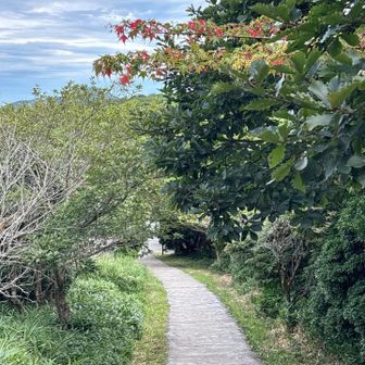 秋も🍂近し
と、言うてる久住連山でした